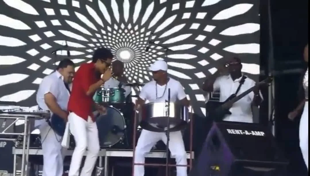 Gorilla Boomin selected live performance archive photograph 12